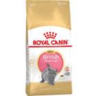Корм для котят Royal Canin Kitten British Shorthair, 10 кг