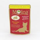 Корм для котят Molina, 100 г, цыпленок