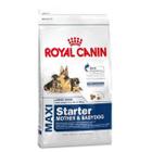 Корм для собак Royal Canin Maxi Starter, 15 кг