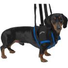 Вожжи для собак Kruuse Walkabout harness S