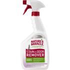 Уничтожитель пятен и запахов 8 in 1 Remover Spray